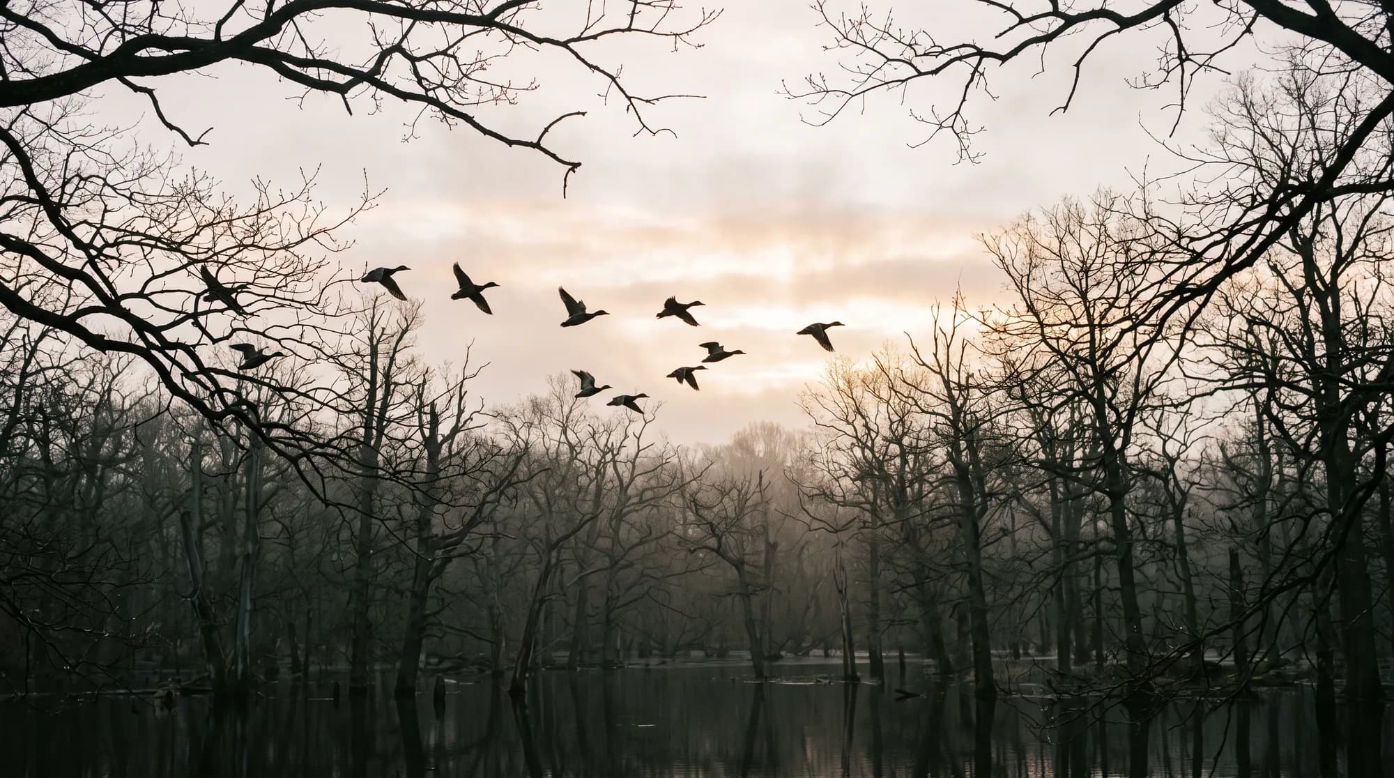 Waterfowl