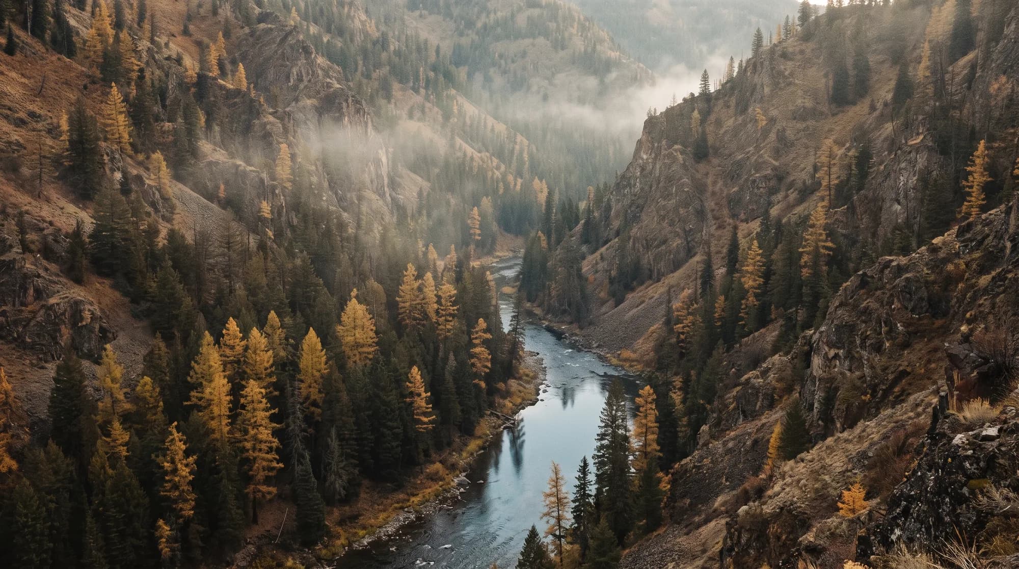 Hunting country in Idaho