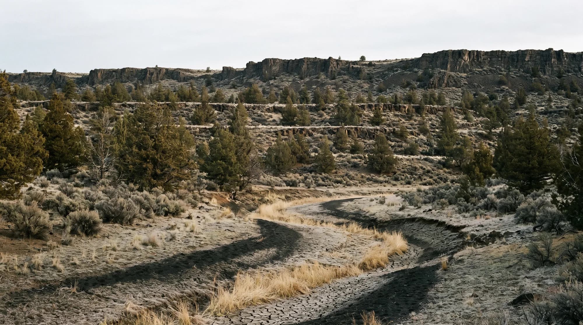 Hunting country in Oregon