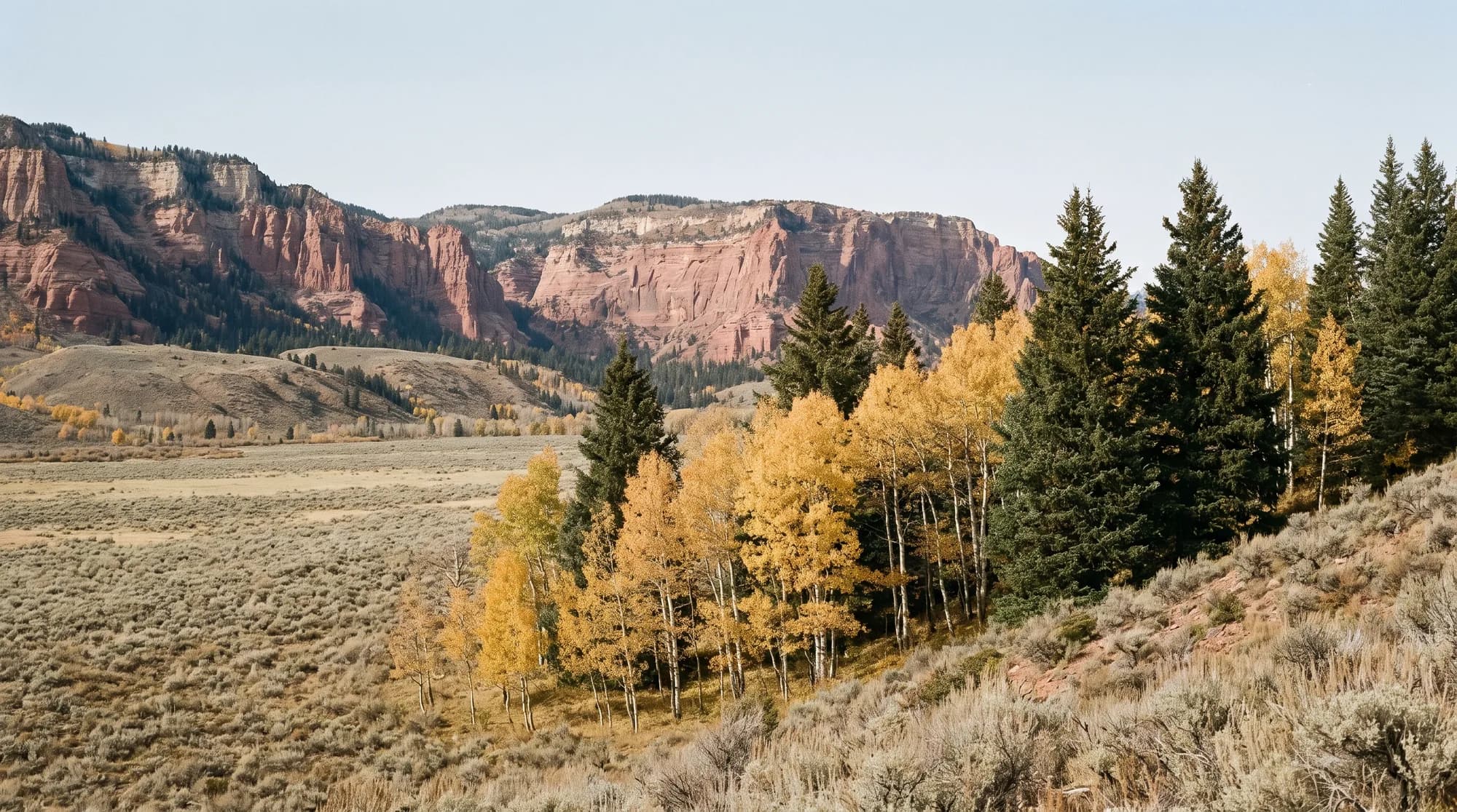 Hunting country in Utah