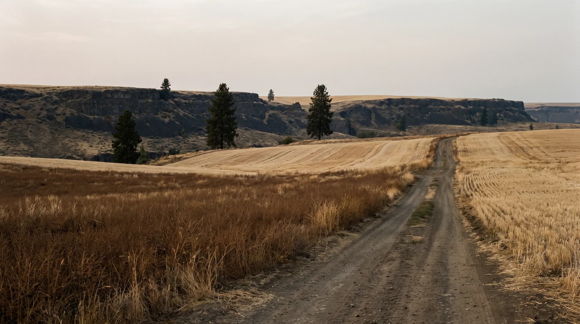 Hunting country in Washington